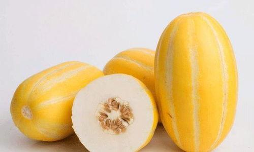 没事可以吃瓜吗,轻松时刻的娱乐选择